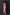 Dress Hire Australia [brand_name] Cesca Rose Pink Floral Maxi Dress - Momentary Wardrobe 