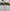 Dress Hire Australia [brand_name] Giselle Maxi Raspberry - Momentary Wardrobe 