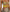 Dress Hire Australia [brand_name] Isla Maxi Dress Selva - Momentary Wardrobe 
